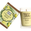 Virginia Aromatics boxed tumbler candle lemon