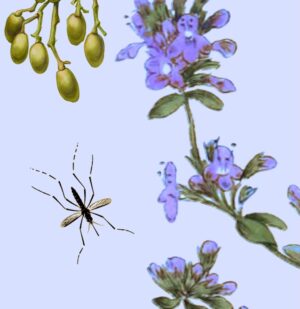 Insect Repellent